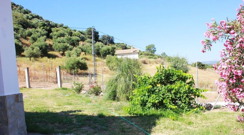 Cádiz - Algodonales - 30300m2