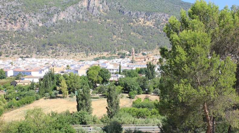Cádiz - Algodonales - 30300m2