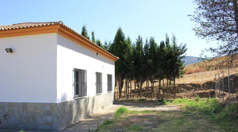 Cádiz - Algodonales - 30300m2