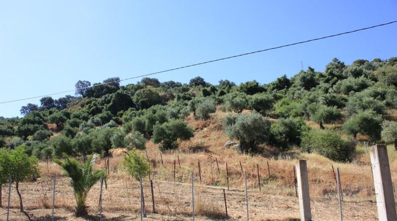 Cádiz - Algodonales - 30300m2