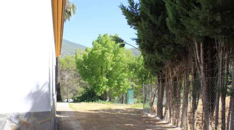 Cádiz - Algodonales - 30300m2