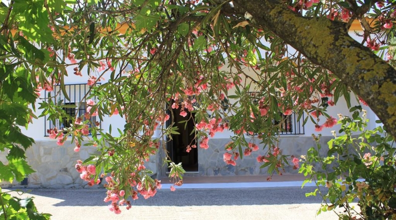 Cádiz - Algodonales - 30300m2