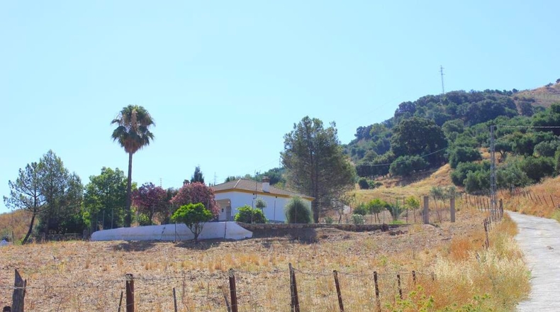 Cádiz - Algodonales - 30300m2