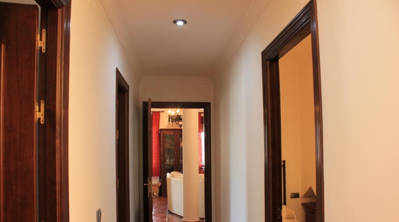 Cádiz - Algodonales - 299m2