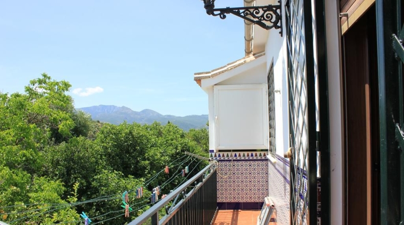 Cádiz - Algodonales - 299m2