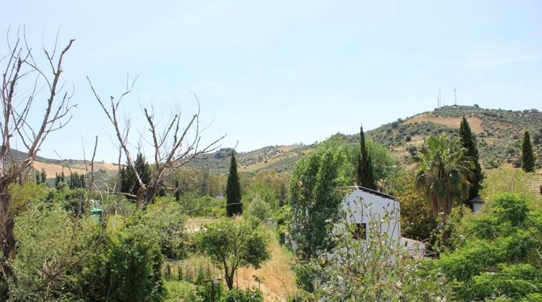 Cádiz - Algodonales - 299m2