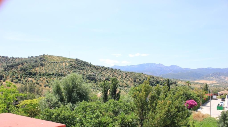 Cádiz - Algodonales - 299m2