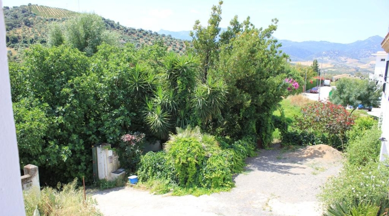 Cádiz - Algodonales - 299m2