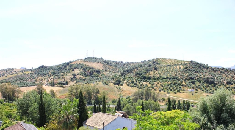Cádiz - Algodonales - 299m2