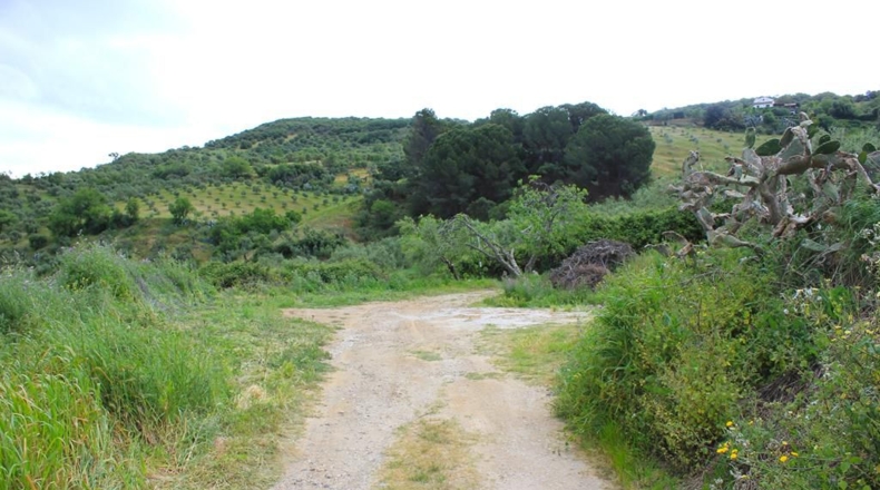 Cádiz - El Gastor - 51116m2