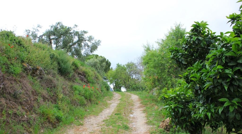 Cádiz - El Gastor - 51116m2