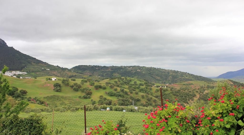 Cádiz - El Gastor - 51116m2