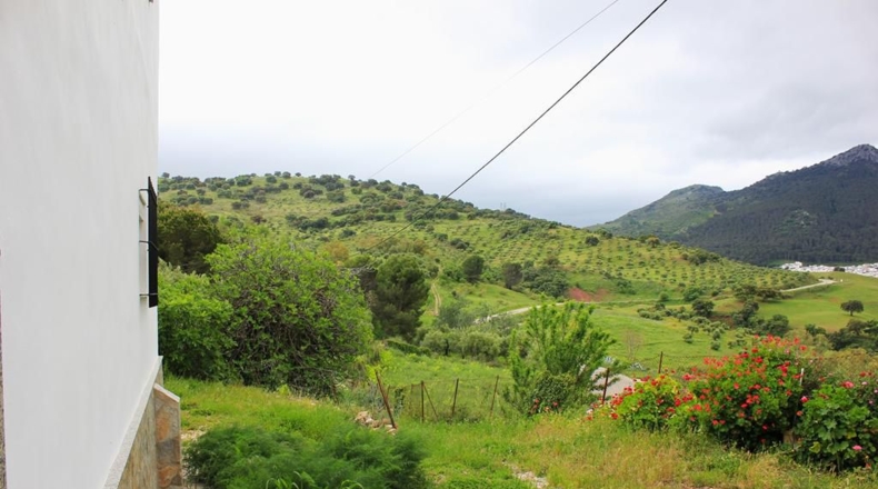 Cádiz - El Gastor - 51116m2