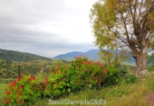 Casa de camp amb terreny en venda a la España, El Gastor, ref.: TR319546 foto