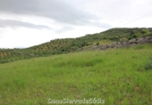 Casa de camp amb terreny en venda a la España, El Gastor, ref.: TR319546 foto