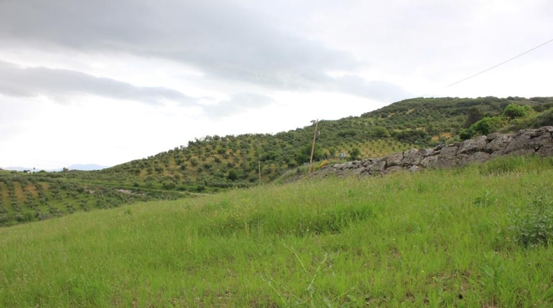 Cádiz - El Gastor - 51116m2