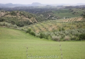 Casa de camp amb terreny en venda a la España, El Gastor, ref.: TR319546 foto