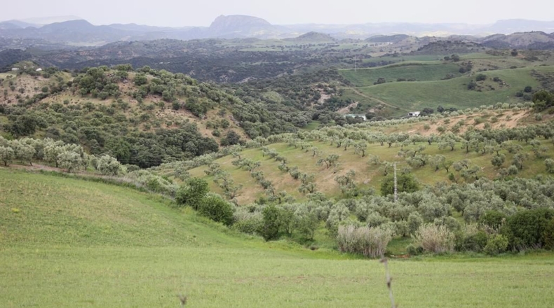 Cádiz - El Gastor - 51116m2