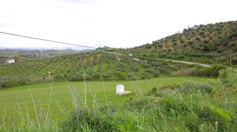 Cádiz - El Gastor - 51116m2