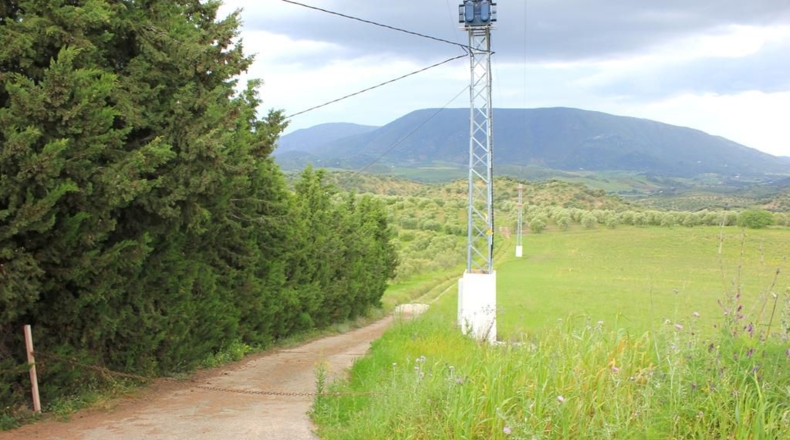 Cádiz - El Gastor - 51116m2