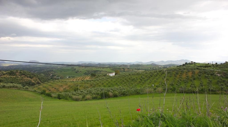Cádiz - El Gastor - 51116m2