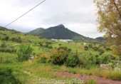 Casa de camp amb terreny en venda a la España, El Gastor, ref.: TR319546 foto