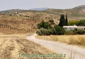 Rural estate for sale in Olvera ref: TR307573 photo