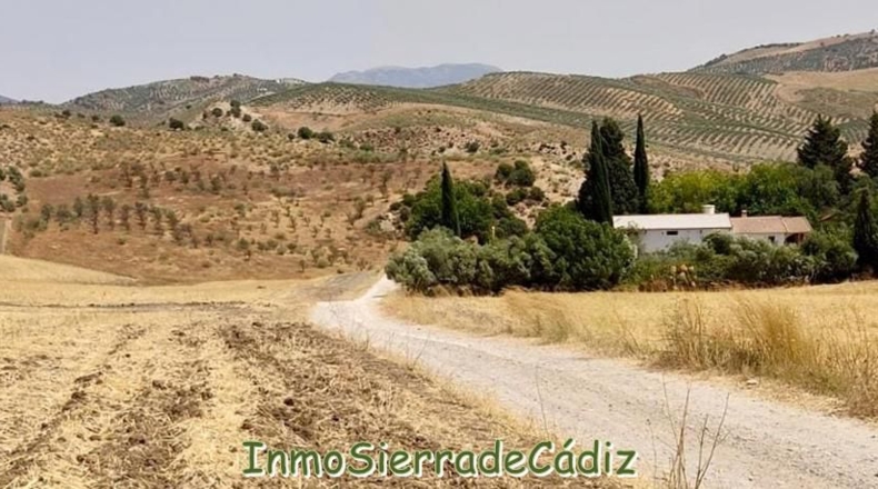 Cádiz - Ольвера - 20467m2