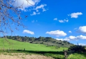 Rural estate for sale in Olvera ref: TR307573 photo