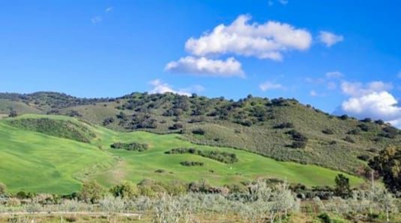 Cádiz - Ольвера - 20467m2