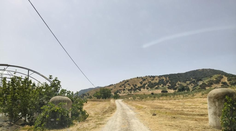 Cádiz - Ольвера - 20467m2
