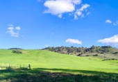 Rural estate for sale in Olvera ref: TR307573 photo