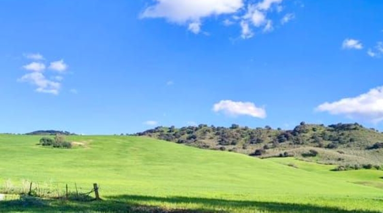 Cádiz - Ольвера - 20467m2