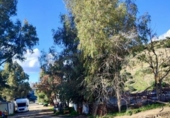 Rural estate for sale in Olvera ref: TR307573 photo