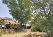 Rural estate for sale in Olvera ref: TR307573 photo