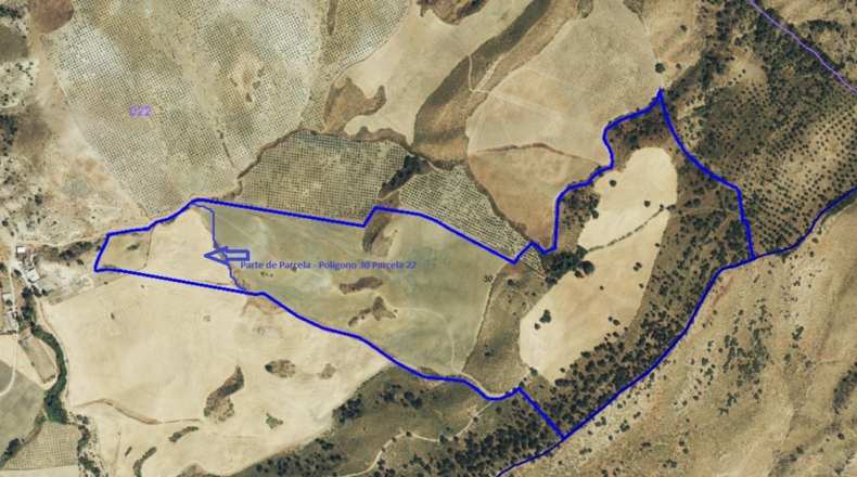 Cádiz - Ольвера - 20467m2