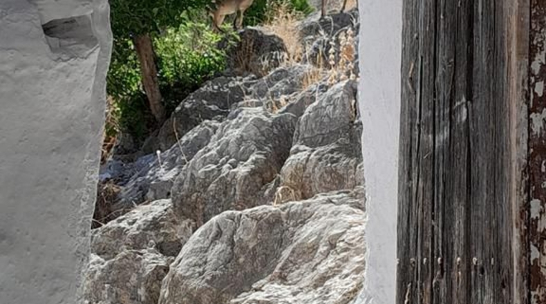 Cádiz - Algodonales - 185m2