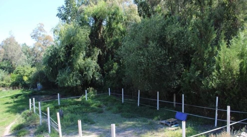 Cadiz - Сахара - 70000m2