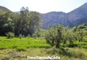 Casa de camp amb terreny en venda a Zahara ref.: TR365134 foto
