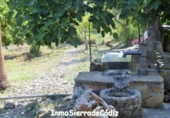 Casa de camp amb terreny en venda a Zahara ref.: TR365134 foto