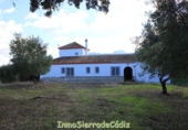 Casa de camp amb terreny en venda a Algodonales ref.: TR365267 foto