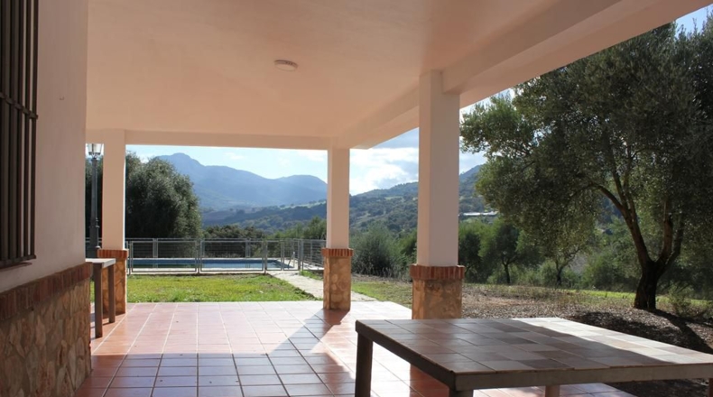 Cádiz - Algodonales - 5000m2
