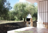 Casa de camp amb terreny en venda a Algodonales ref.: TR365267 foto