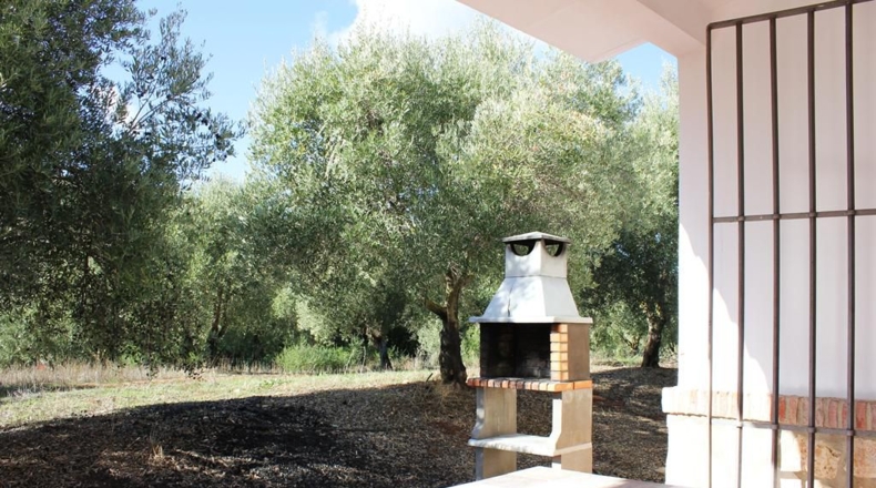 Cádiz - Algodonales - 5000m2
