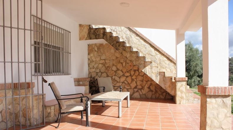 Cádiz - Algodonales - 5000m2