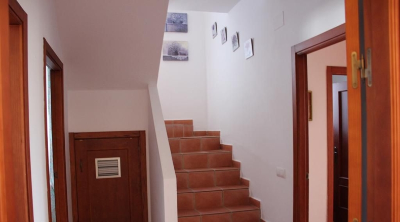 Cádiz - Algodonales - 5000m2