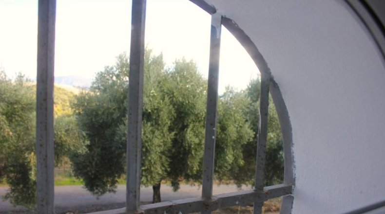 Cádiz - Algodonales - 5000m2