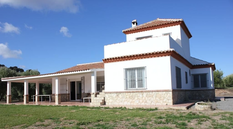 Cádiz - Algodonales - 5000m2