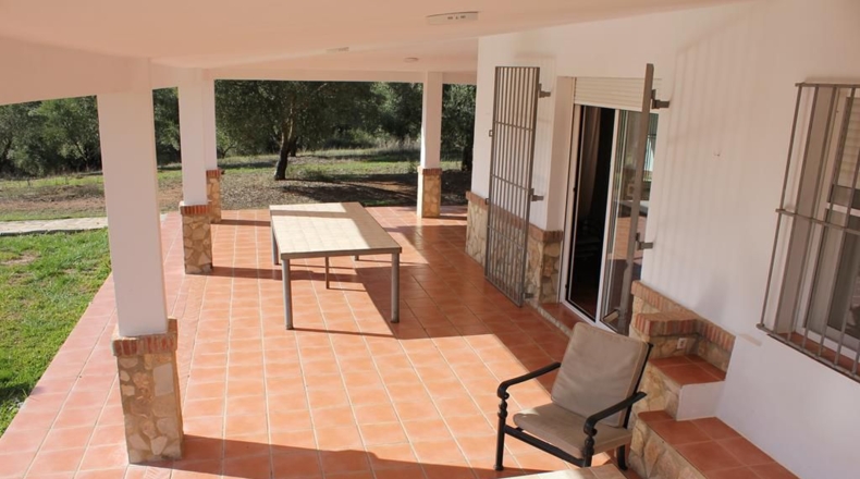 Cádiz - Algodonales - 5000m2
