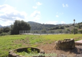Casa de camp amb terreny en venda a Algodonales ref.: TR365267 foto